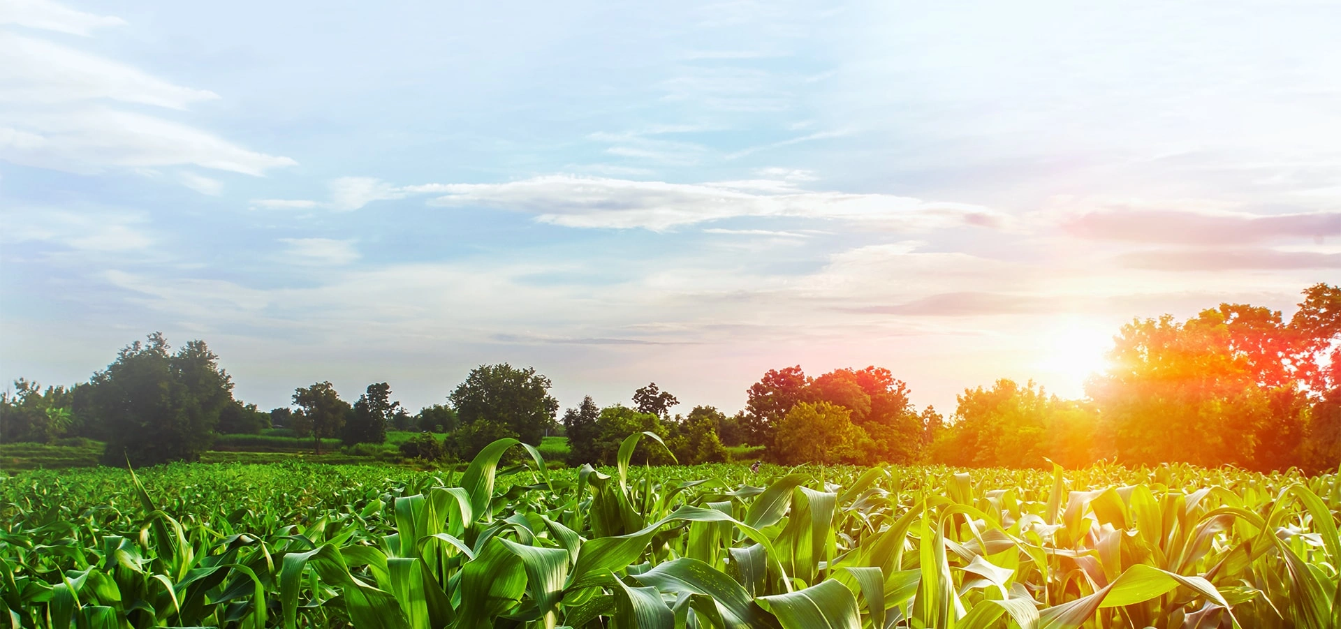 重庆星润神商贸有限公司